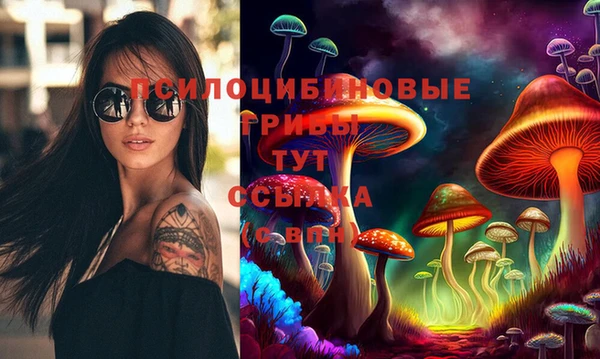 прущие крисы Бородино