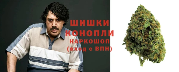 прущие крисы Бородино