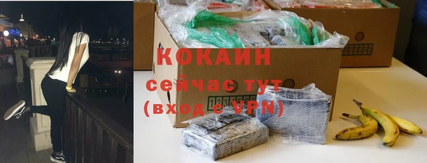прущие крисы Бородино