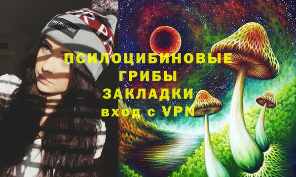 прущие крисы Бородино