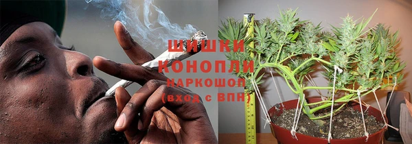 сатива Покровск