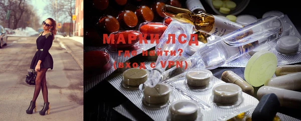 прущие крисы Бородино